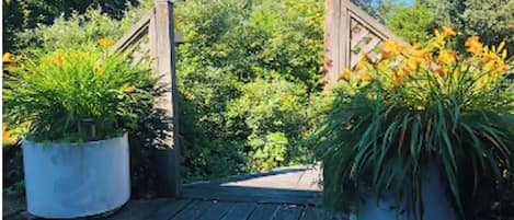 Cross a tranquil bridge into a lush garden oasis.