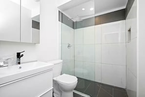 Hair dryer, towels, soap, shampoo - 2 bedroom Laneway house in great area near subway (Toronto)