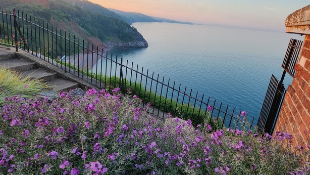 A coastal view with a staircase leading down to the sea, surrounded by purple flowers and a metal railing.