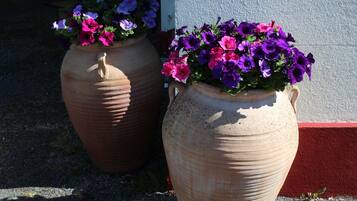 Twee grote terracotta potten met levendige paarse en roze bloemen.