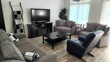Una Smart TV, una chimenea, un reproductor de DVD, libros