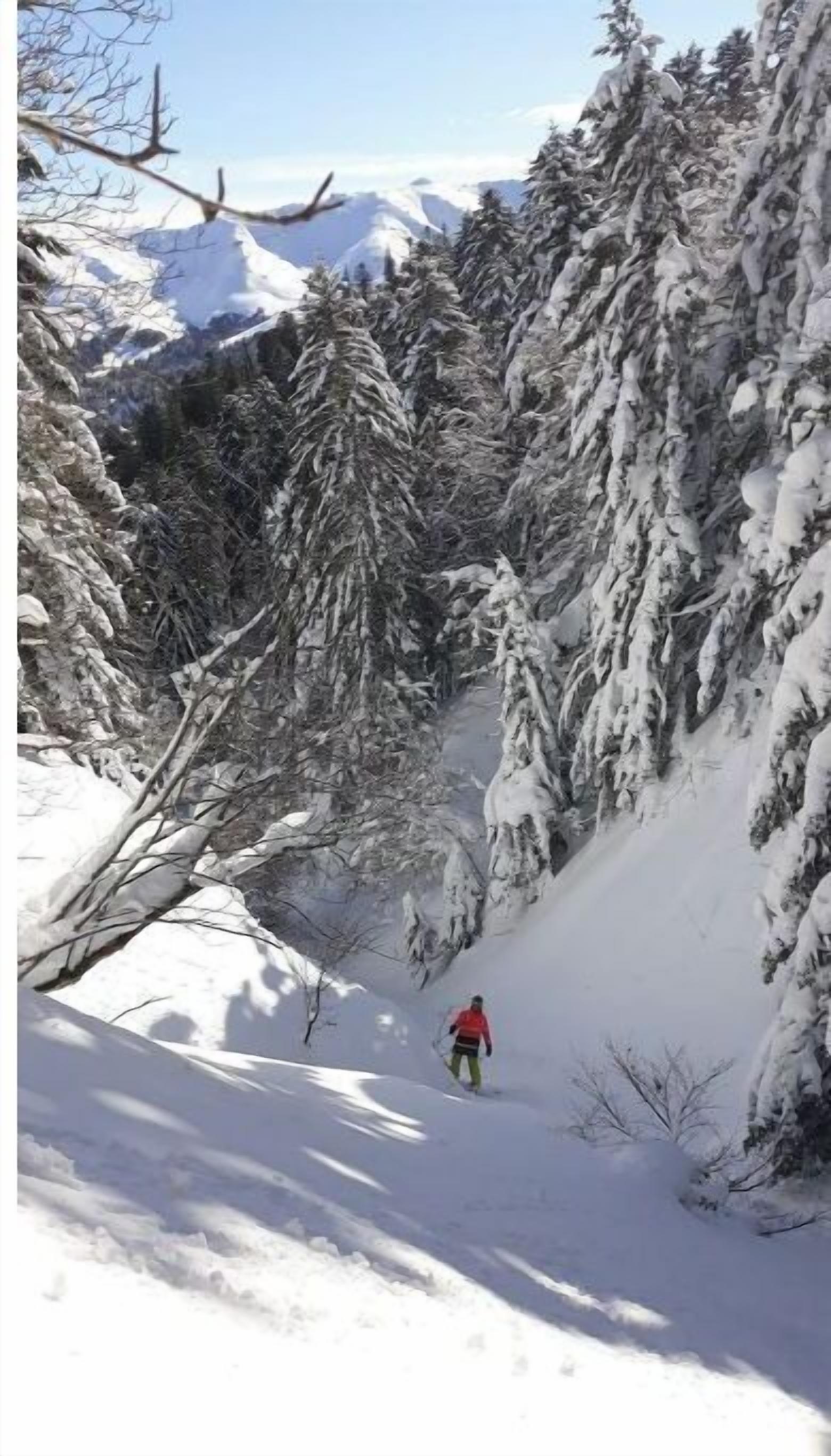 Een besneeuwde bergpad met een skiënde persoon.