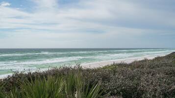 Nær stranden og strandhåndklær