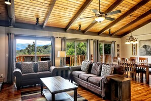 Smart TV, caminetto, lettore DVD, tavolo da calcetto