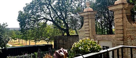A garden with a stone bench, a metal fence, and a large tree.