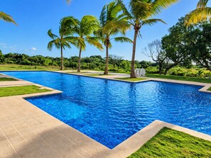 Una piscina con agua azul cristalina, rodeada de palmeras y césped cuidado.