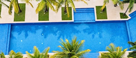 Vue aérienne d’une piscine entourée de palmiers.