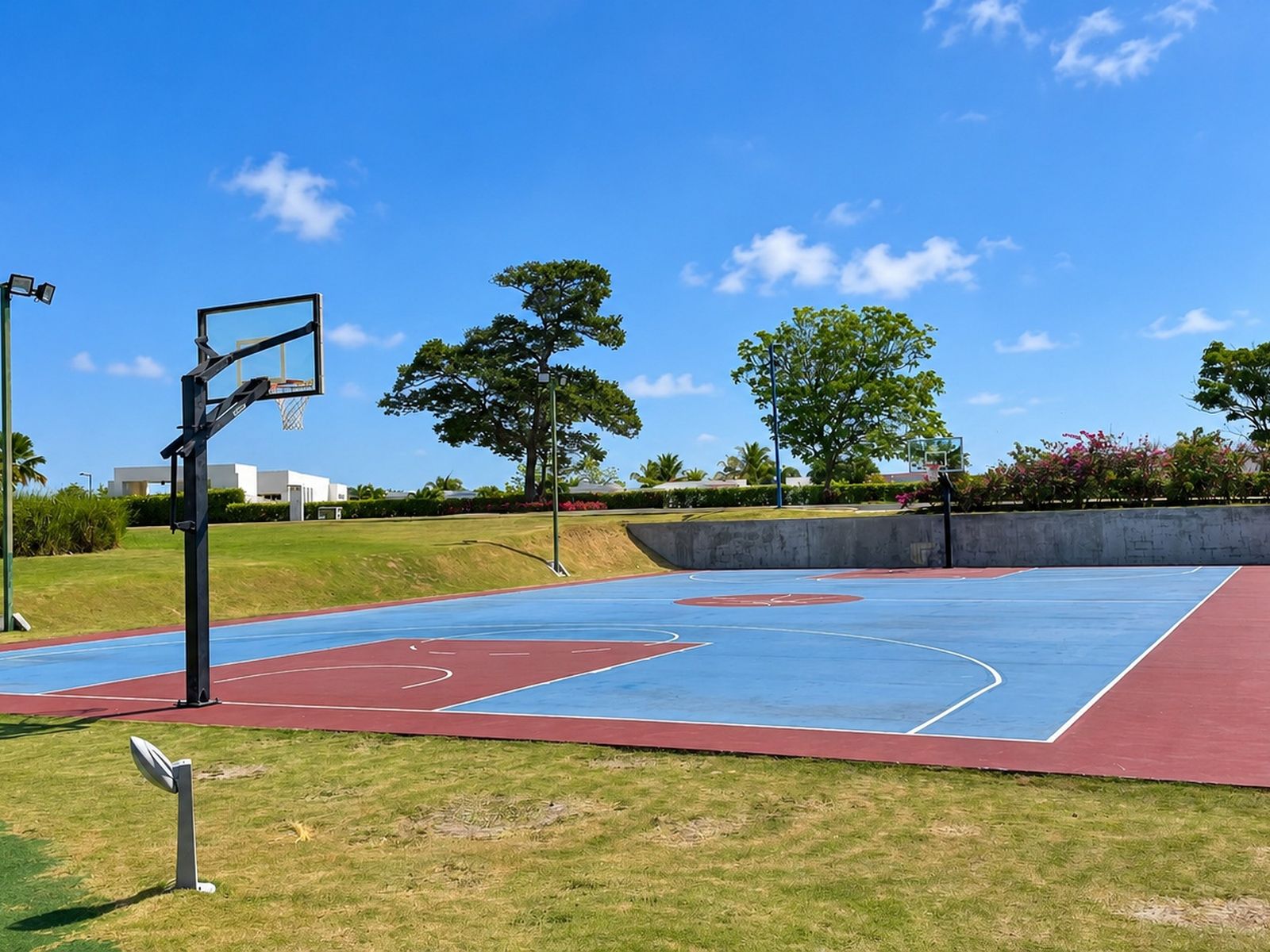 Een basketbalveld buiten met een basket, omringd door gras en bomen.