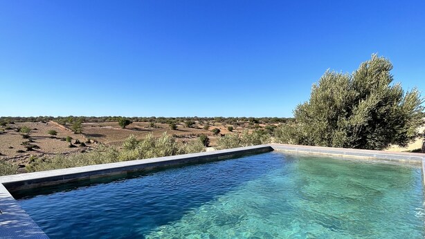 Piscina límpida com vista para uma paisagem desértica e uma árvore.