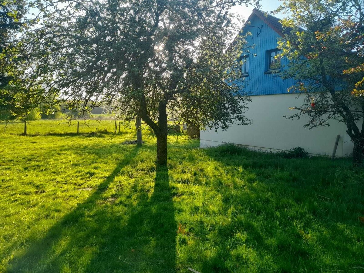 Värdens profilbild