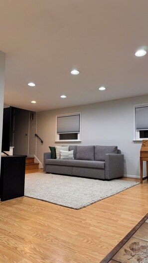 Smart TV, fireplace, books