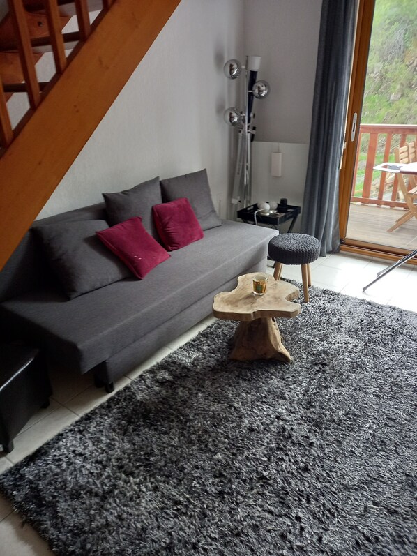 TV, video games, DVD player, books