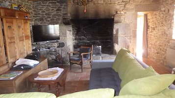 Televisión, chimenea, reproductor de DVD y tenis de mesa