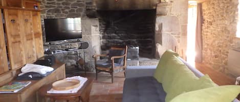 TV, fireplace, DVD player, ping pong