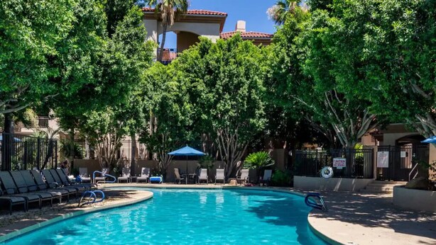 A swimming pool surrounded by lounge chairs and umbrellas, with trees and a building in the background.