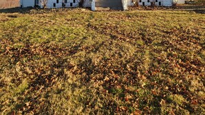 A two-story white house with a front porch, a chimney, and a small front yard with fallen leaves.