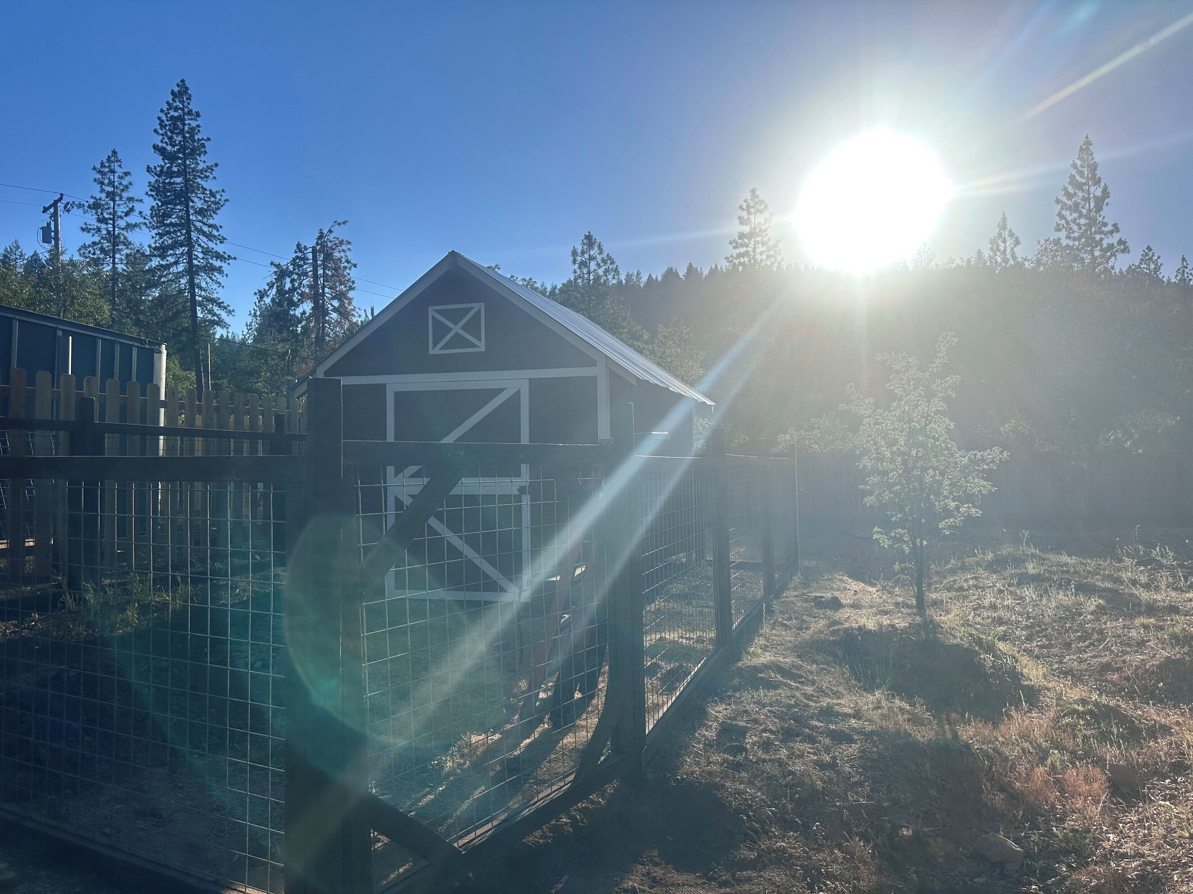 Adventure Awaits: Newly Renovated Cabin Just Minutes Away from Outdoor Fun