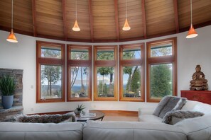 TV connectée, cheminée, livres, chaîne hi-fi