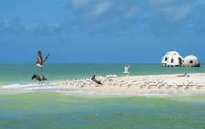 On the beach, sun loungers, beach towels