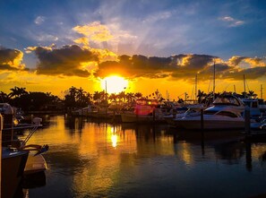 Marina