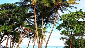 A poolside view with a clear view of the ocean, surrounded by tall palm trees.