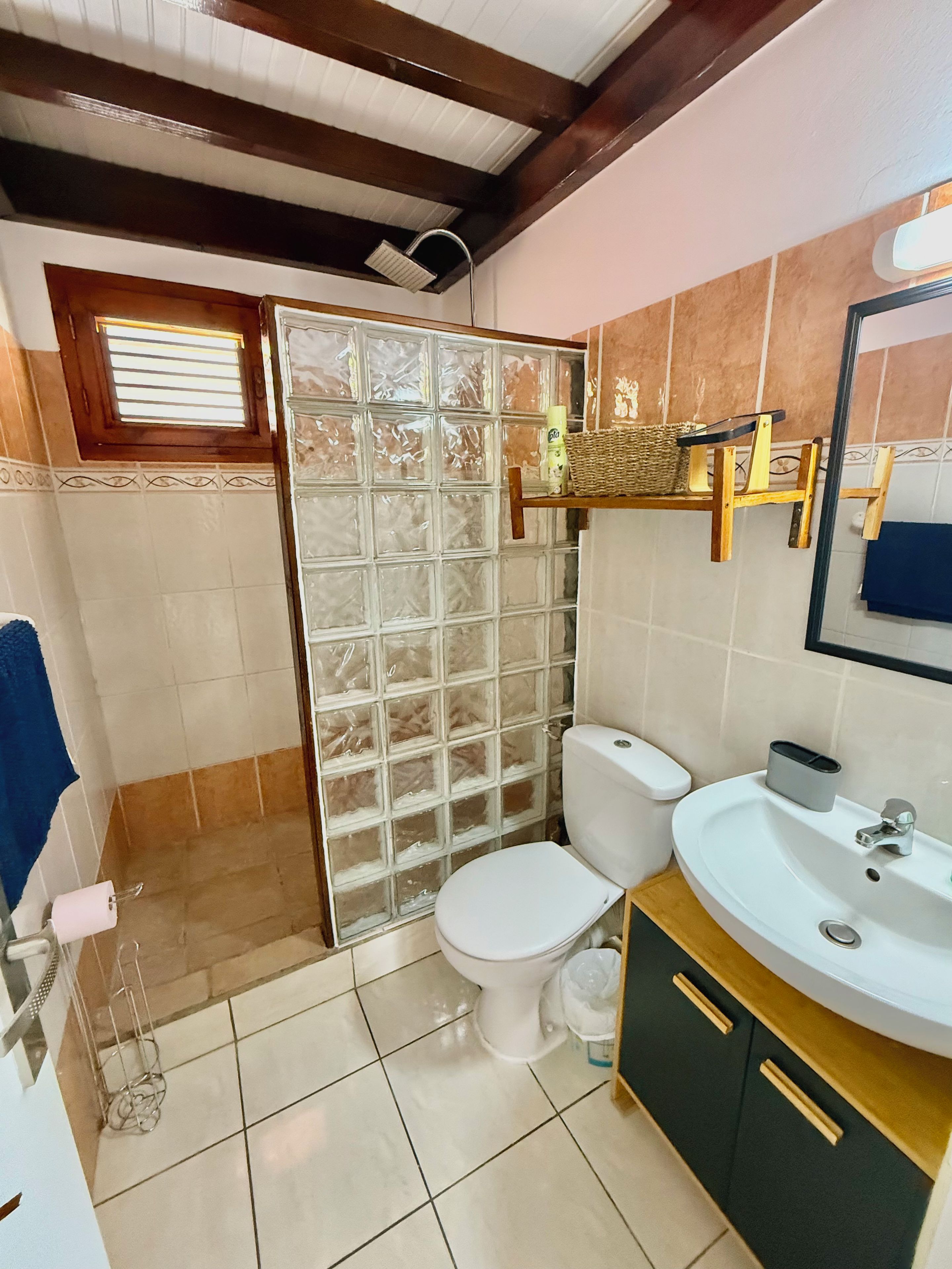 A bathroom with a toilet, sink, and shower area.