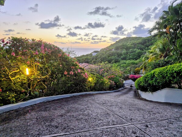 A paved pathway leading through a lush, green area with flowering plants and trees. - Panoramic Views as Sunsets await, Close to Beaches, Sandals Golf and Cabot Golf (Cap Estates)