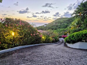 A paved pathway leading through a lush, green area with flowering plants and trees.