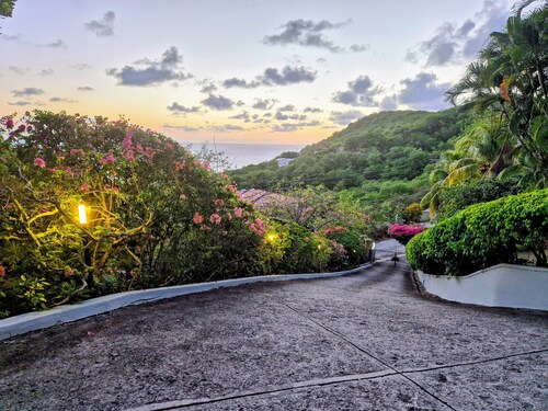 Panoramic Views as Sunsets await, Close to Beaches, Sandals Golf and Cabot Golf
