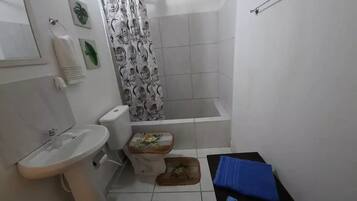 Shower, bidet, towels, soap