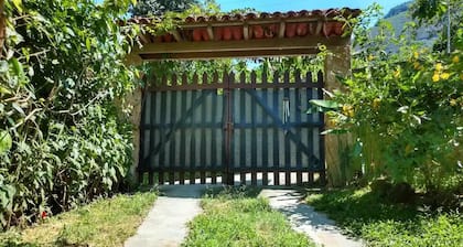 Nature, tranquility. Access to the lake. We accept PET