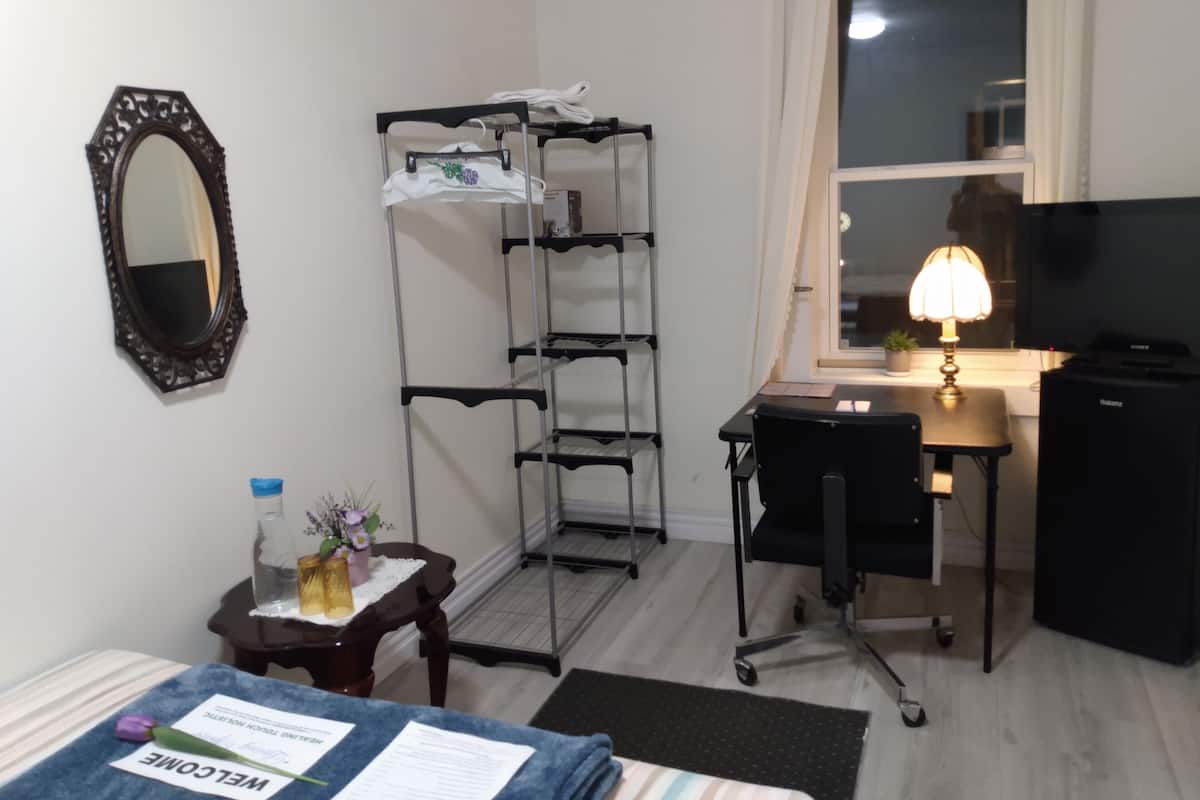 Ein Hotelzimmer mit einem Bett, einem Schreibtisch mit Stuhl, einem Fernseher, einer Lampe, einem Spiegel und einem Metallregal.