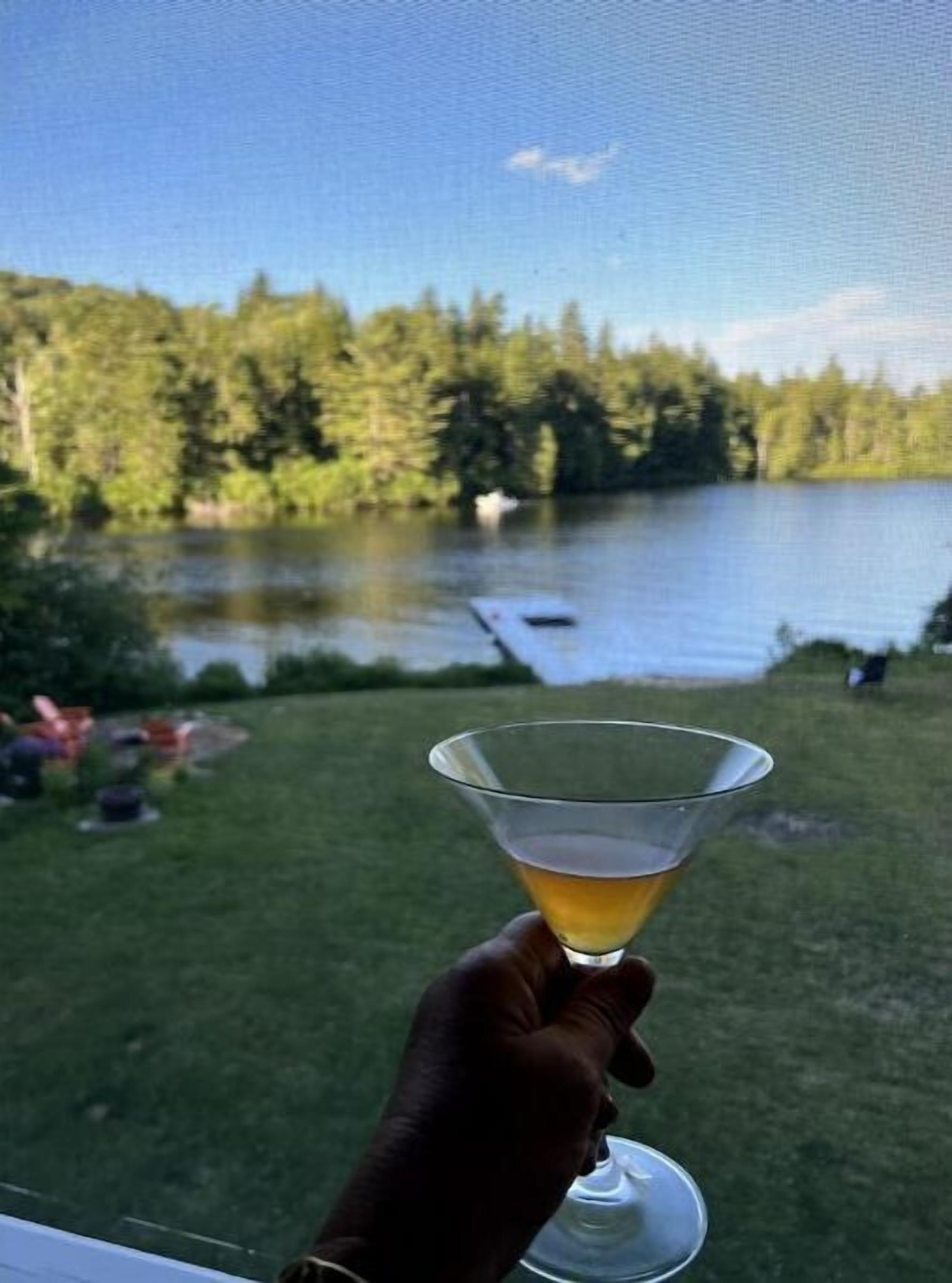 A hand holding a martini glass with a view of a lake and forest in the background.