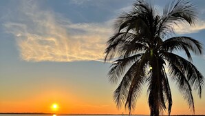 Uma praia com uma palmeira e um pôr do sol.
