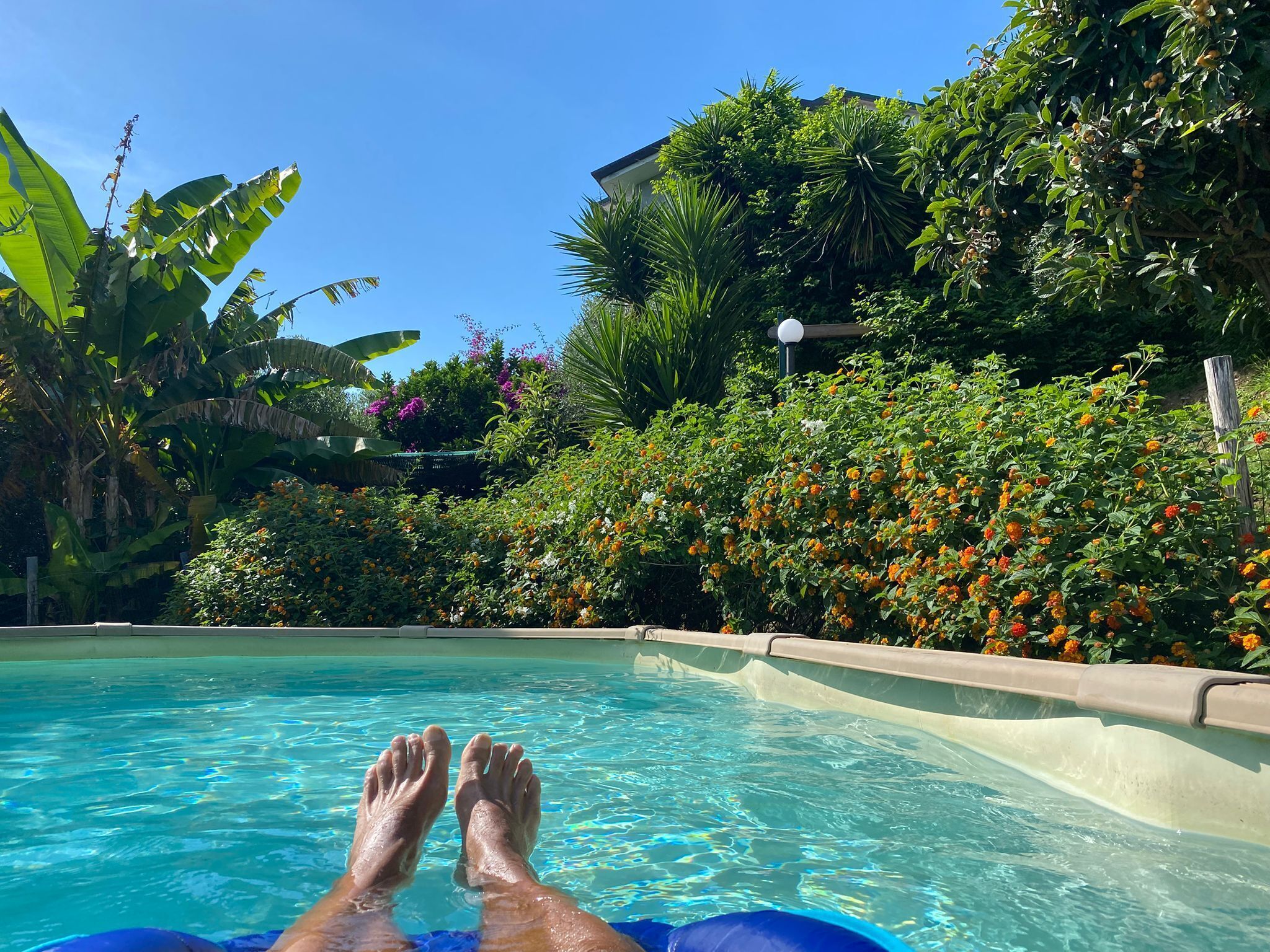 Una piscina al aire libre, tumbonas