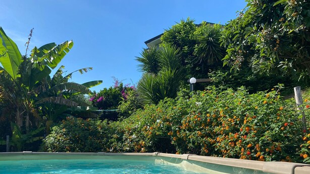 Une piscine à l’eau claire, entourée d’une végétation luxuriante et de plantes en fleurs.