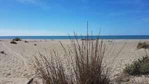 Une plage de sable, avec une végétation clairsemée et un ciel bleu dégagé.