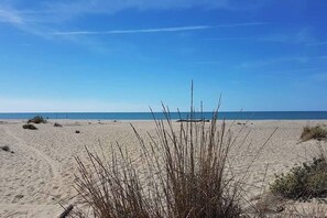 Beach nearby, sun-loungers - 7km from sea-Private pool-Hilly-Strategic location surrounded by 3 Natural Parks (Toscana)