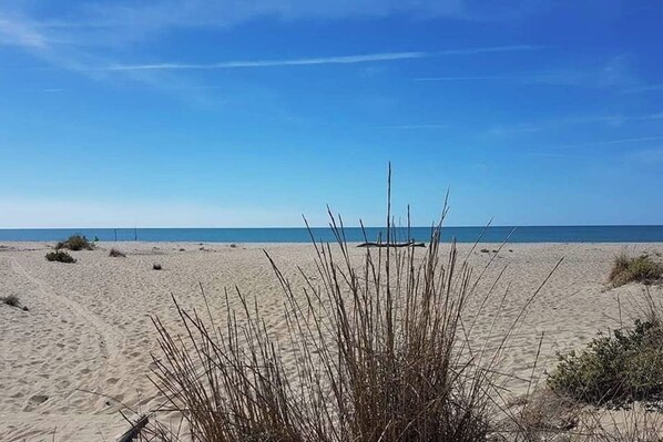 Plage à proximité, chaises longues