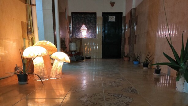 A hallway with patterned tiles, potted plants, and a security door. - Al Dahar apartments Hurghada  (Hurghada)
