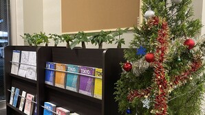 A bookshelf with travel guides and a Christmas tree with decorations. - HOTEL WAKO Tokyo Tree View (Tokyo)