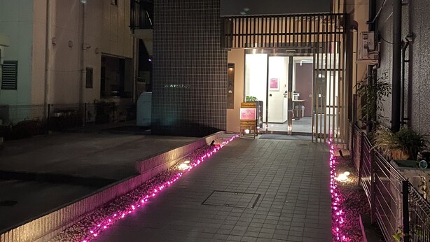 A building with a gated entrance, a tiled facade, and a pathway lined with pink lights. - HOTEL WAKO Tokyo Tree View (Tokyo)