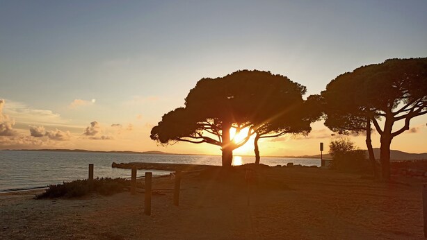 Escena de playa con atardecer, árboles y una valla.