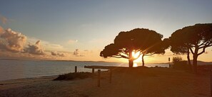 A beach scene with a sunset, trees, and a fence.