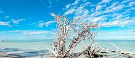 Perto da praia, espreguiçadeiras, toalhas de praia 