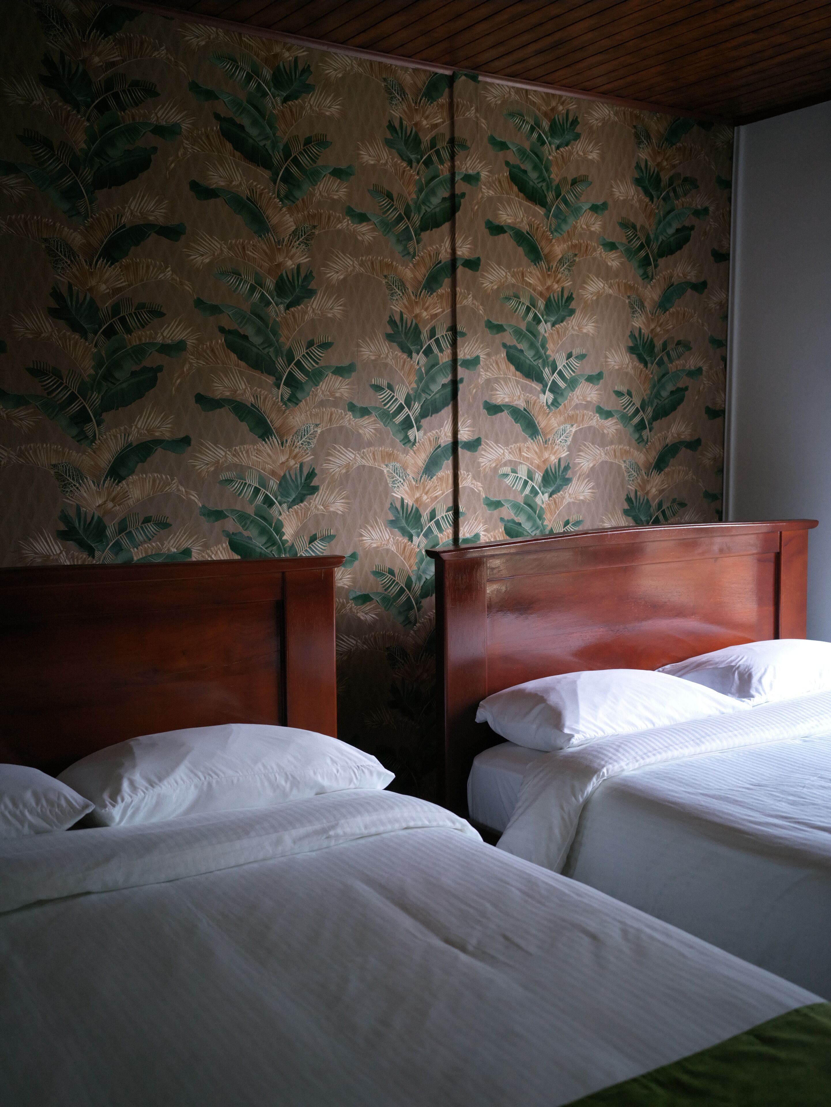 A hotel room with two wooden beds, a large window, and a wall with a tropical leaf pattern.