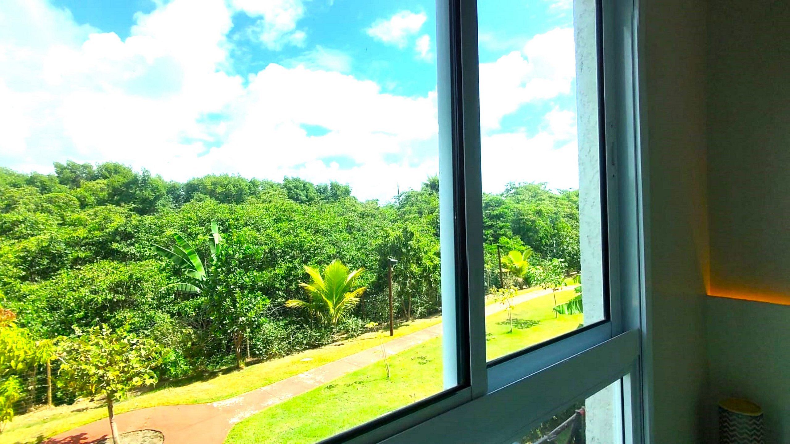 A window view of a lush green landscape with dense foliage and a clear sky.