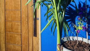 A wooden door with a vertical handle, a potted plant with broad leaves, and a small flowering plant in a white pot against a blue wall. - Edifício Creta (São Luís)