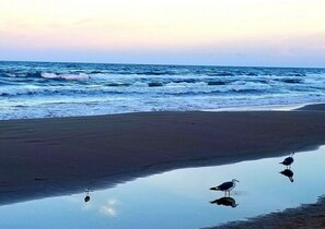 海滩