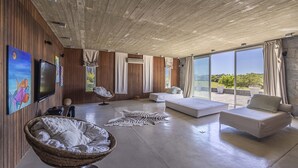 Una habitación amplia con un ventanal grande, un televisor de pantalla plana, un sofá, una silla y una alfombra con estampado de cebra.
